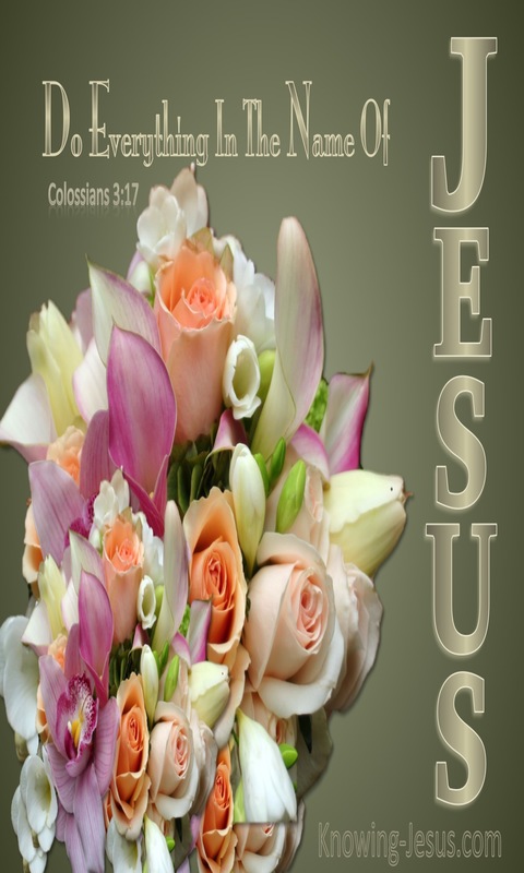 Colossians 3:17 All In The Name Of Jesus (sage)